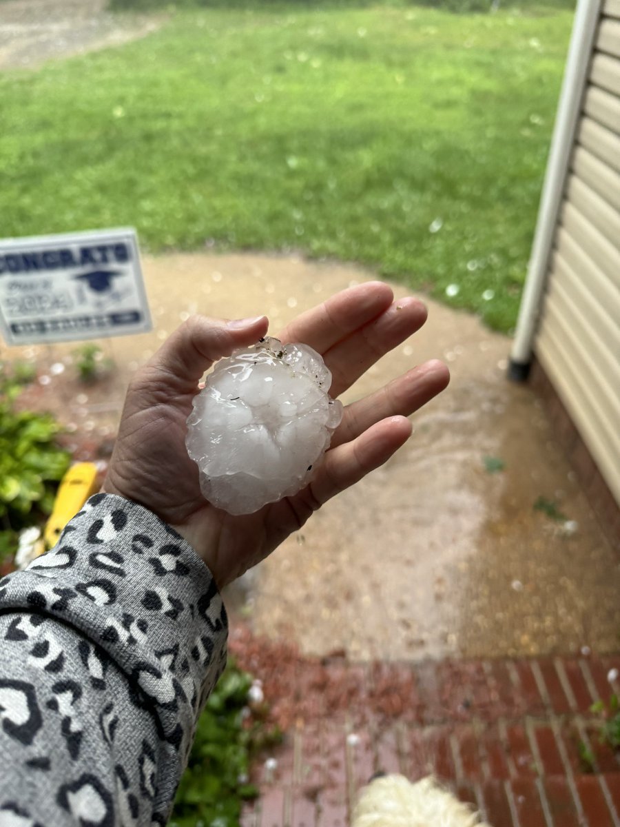 Mindy Walker tweet media