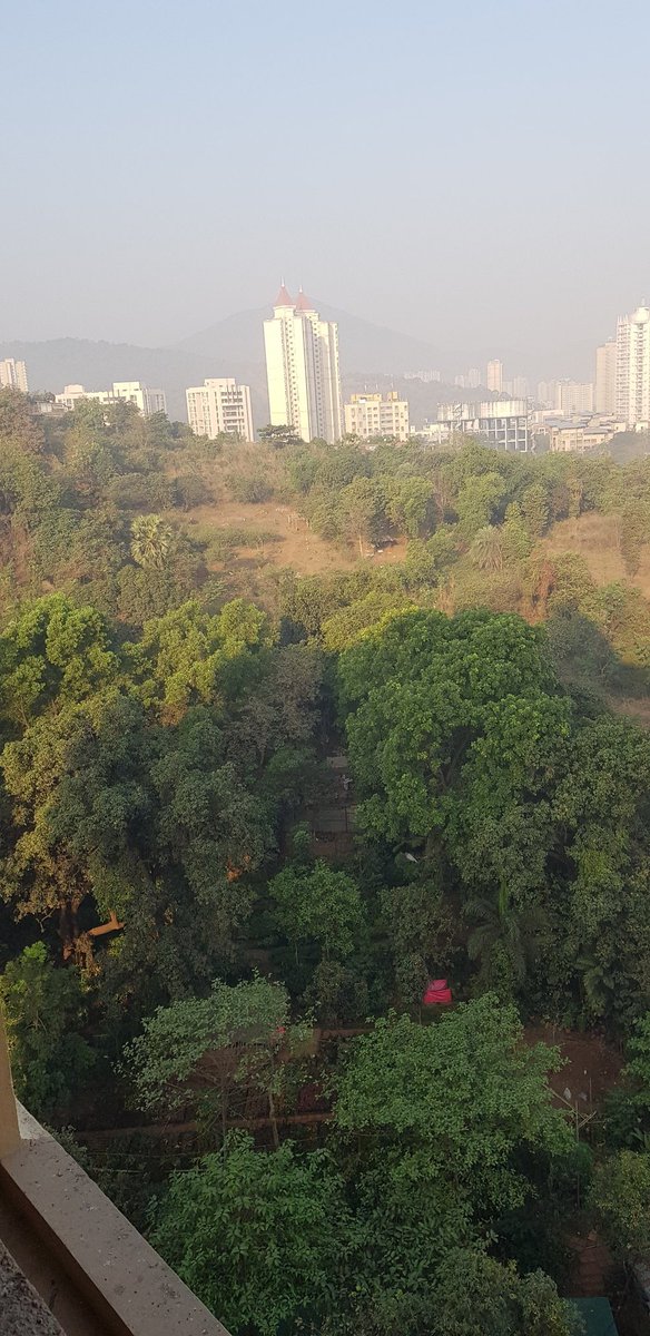 mann_hs's tweet image. @TMCaTweetAway pics of Patlipada forest behind Hiranandani Estate taken in Apr 2019 and TODAY. See how slowly encroachments are hapenning. New hutments are coming up and people settling down here does not seem to be local from Mah. Why is TMC silent on this? @mieknathshinde Con 2