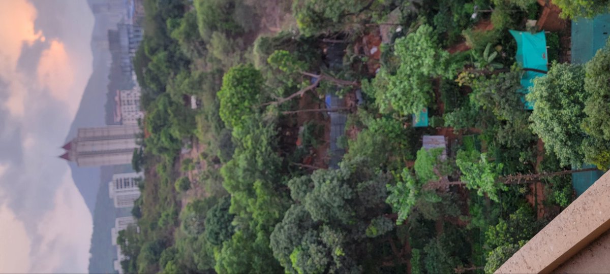 mann_hs's tweet image. @TMCaTweetAway pics of Patlipada forest behind Hiranandani Estate taken in Apr 2019 and TODAY. See how slowly encroachments are hapenning. New hutments are coming up and people settling down here does not seem to be local from Mah. Why is TMC silent on this? @mieknathshinde Con 2