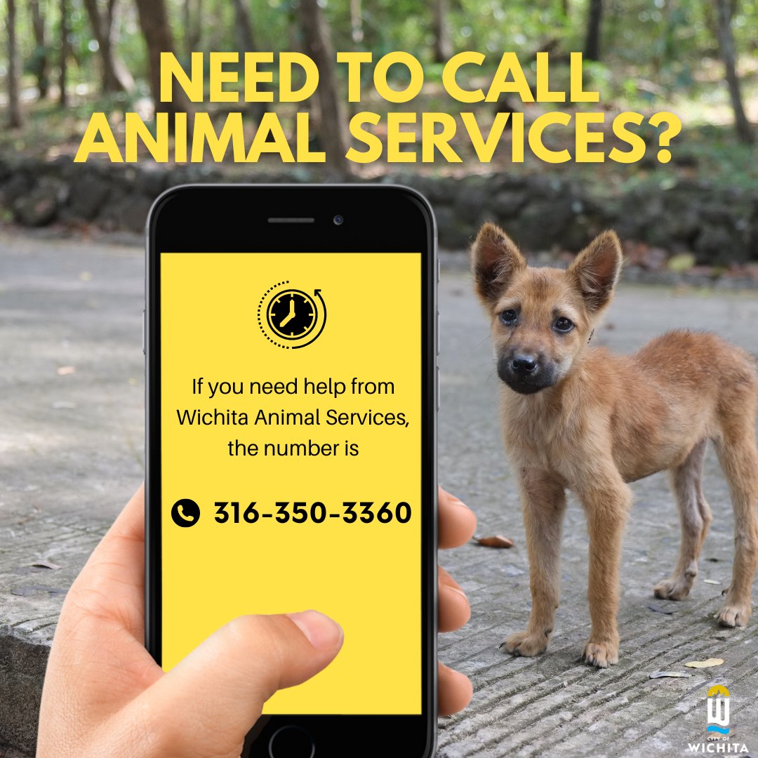 Need to contact Wichita's Animal Services? The number you want is (316) 350-3360. Animal Control Officers are on-call for emergencies 24 hours a day to help you and all of our furry friends. 🐕 🐈 🐔