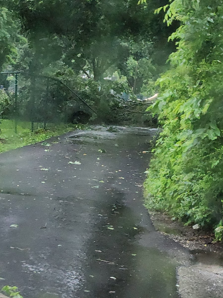 painterma3's tweet photo. @joeimel @WarrenCoSO tree down at the ally by Fairview Cemetery blocking rd. Fairview area got hit hard. https://t.co/ArYqmqR6TI