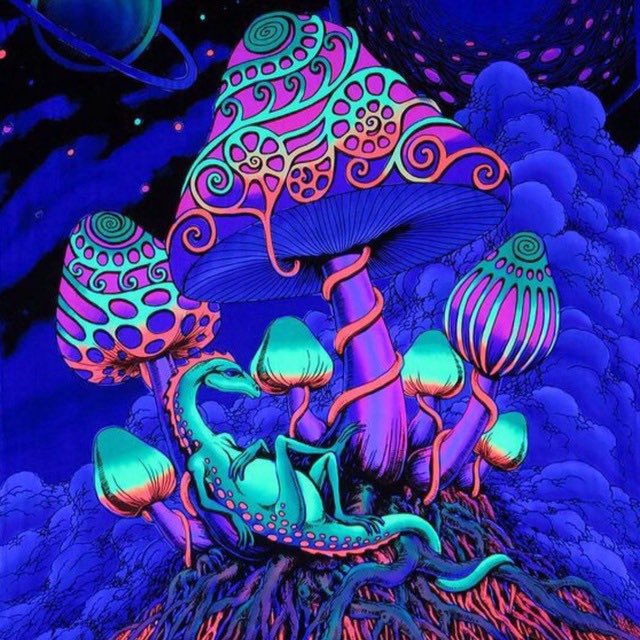 AllthingM's tweet photo. Mushroom evaluation 

#mushroomillustration #mushroomart #goblincore #cottagecore #cottagecoreart #cottagecorecommunity #göblincore #goblincoreart #goblincoreaesthetic #goblincorecommunity #mushroomart #mushroomartist #mushroomartwork #mushroomartworks #kawaiimushrooms #cutearts https://t.co/PCNcA79meJ