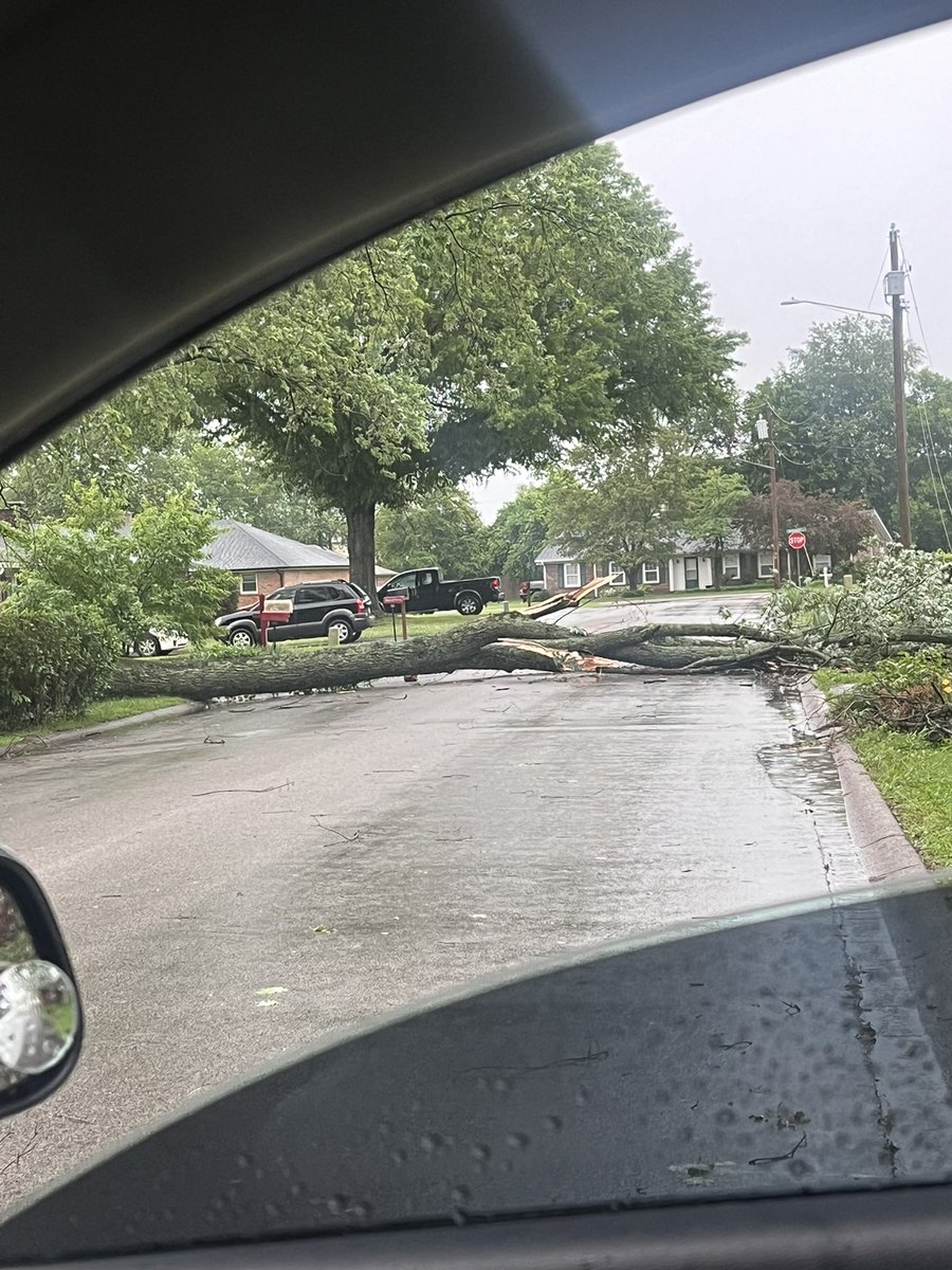 jwingooo's tweet photo. @joeimel tree down on edgehill pl https://t.co/2MNK6sZreB