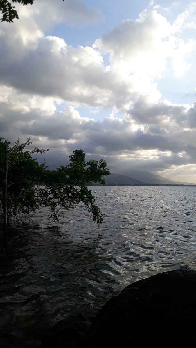 Dilan Beşeren (@dilan_bsrn) on Twitter photo 