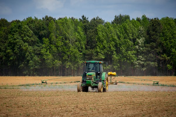 🌍🔄 Cross-border trade can be simplified with cryptocurrencies. Nigerian agribusinesses can easily transact with international buyers, reducing currency conversion costs and accelerating payments. #GlobalTrade #CryptoEconomy #Agribusiness