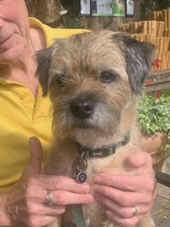 PetsAsTherapyUK's tweet image. "My #PATDog Thomas and I (Sue) visit a local school. Before Easter we had a great breakthrough with a #non-verbal little girl we have been working with for a year."

Could your #school benefit from a PAT Dog? petsastherapy.org/information/in…
#PetsAsTherapy #Edu #Education