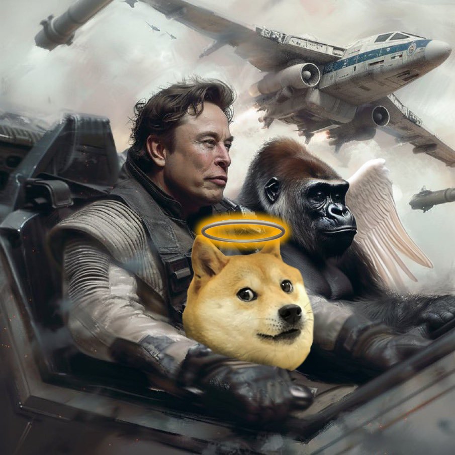 Flying high, together forever

<a href="/elonmusk/">Elon Musk</a> <a href="/harambeonsolana/">Harambe (Meme)</a>