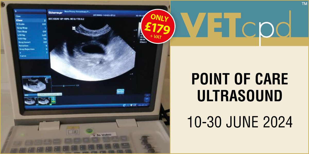 Point of Care Ultrasound

This Point of Care Ultrasound course will address the benefits of ultrasonography to the veterinary nurse and the basics of how ultrasonography works and how to identify normal structures.

vetcpd.co.uk/product/point-…