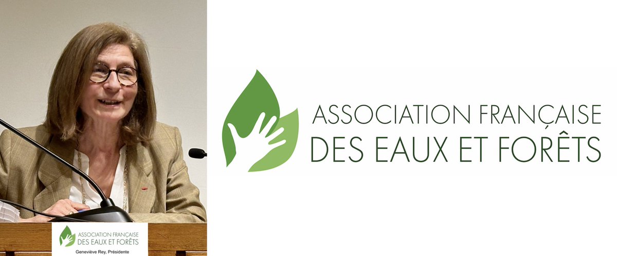 Geneviève REY nouvelle présidente de l'Association Française des Eaux et Forêts (AFEF) 

leseauxetforets.fr