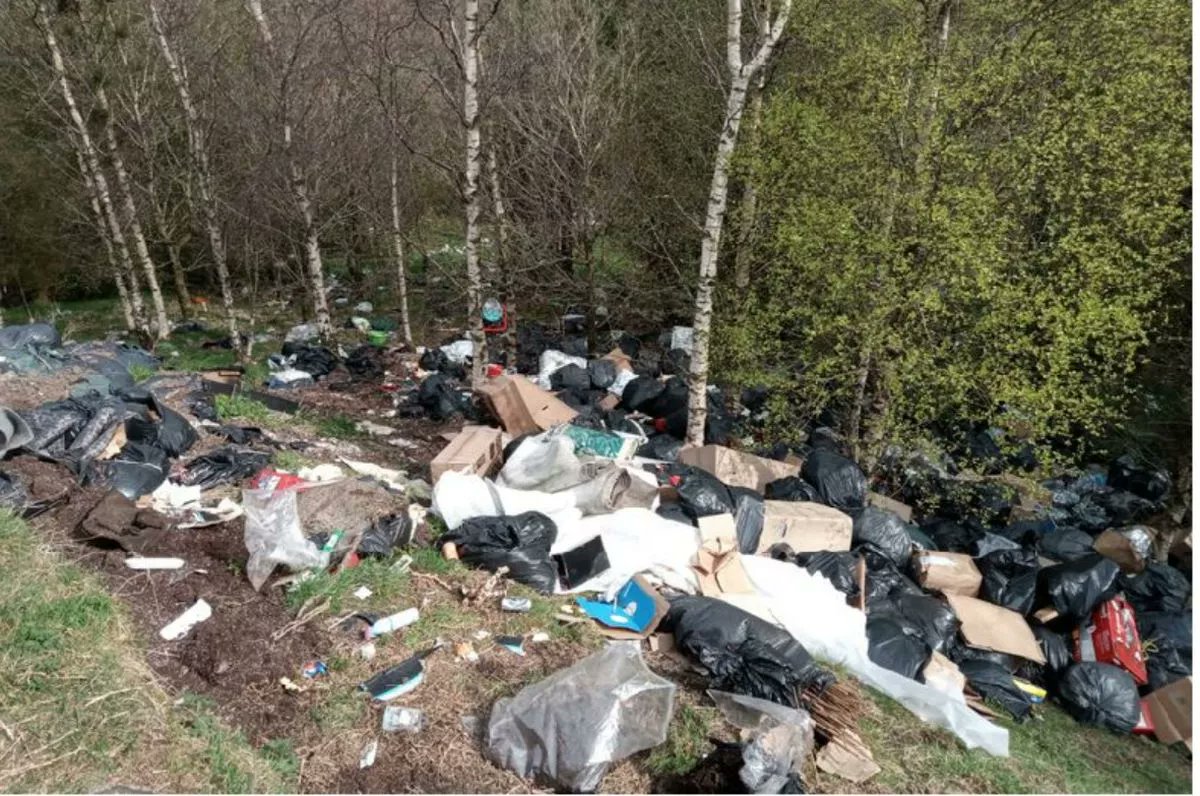 📢📢📢 TO ALL THE POLITICAL PARTIES... We need a serious conversation about environmental crime in Britain. Our country is being desecrated and hugely polluted. Tough action, NOT WORDS is required. On-the-spot fines should be increased from £1,000 to £10,000.