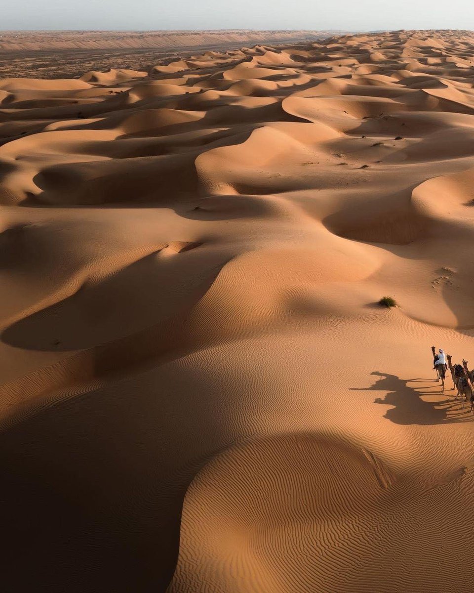 Wahiba Sands Desert, Oman 🇴🇲