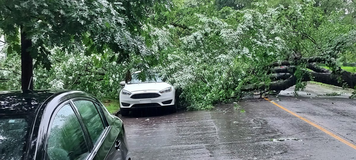 CohibaSmkr's tweet photo. @MarcWeinbergWX Brook Street just north of Magnolia in Old Lou. https://t.co/yfzxMqNdaW