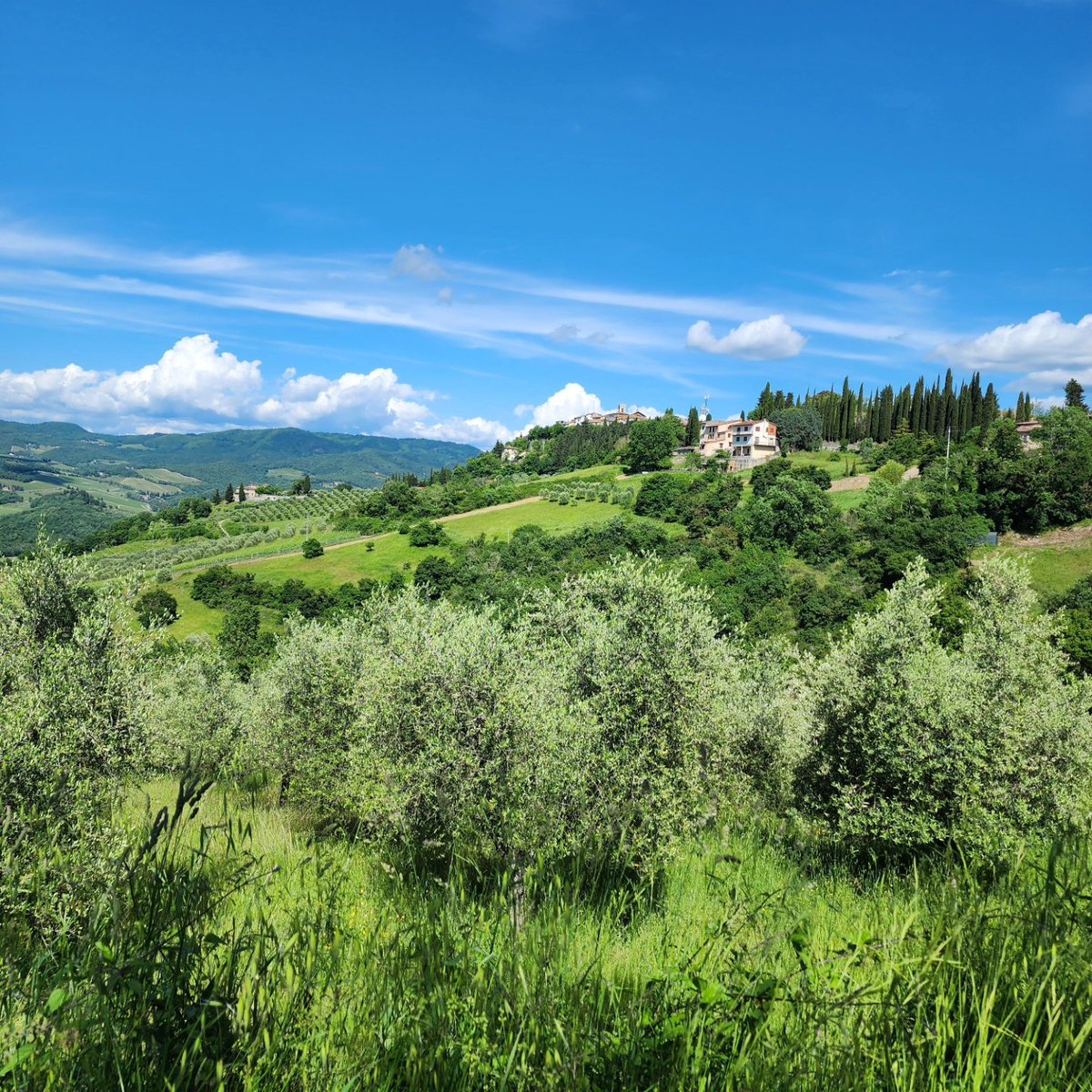 What a fabulous day in #Chianti! I met Dario, the famous butcher, tasted wine at our favorite winery in Montefioralle, had a delicious lunch in Lamole, & visited Radda, Greve, Volpaia, and some other stops. #roaminghistorian #travel #culture #Tuscany roaminghistorian.com/save-money-ita…