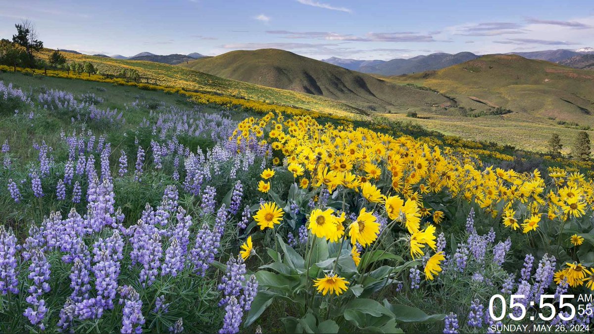 Today's Daily Wallpaper Refresh from Bing

The hills are alive.  Methow Valley, North Cascades, Washington

bit.ly/3PfdwgI

#TodayForWindows #freedownload #tryitforyourself #imageoftheday #pictureoftheday #wallpaperoftheday
#naturephotography #NatureWonders