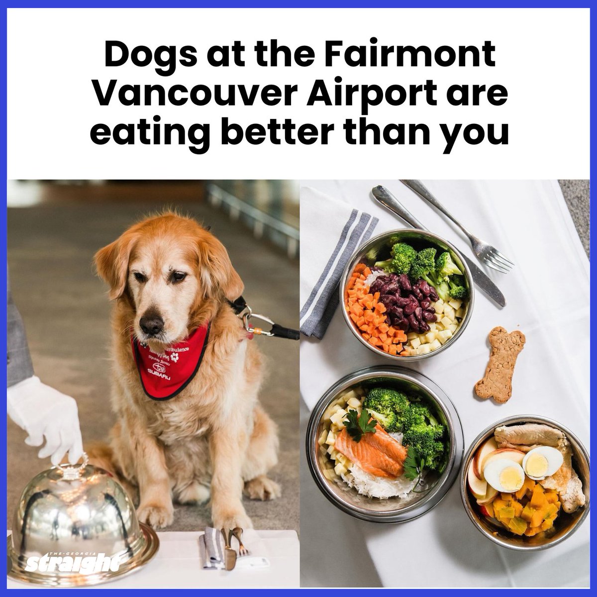 The Fairmont Vancouver Airport has launched a new dog package that includes gourmet bowls of salmon, chicken, and plant-based meals for your furry friends. Can't remember the last time we ate this good. 🤔