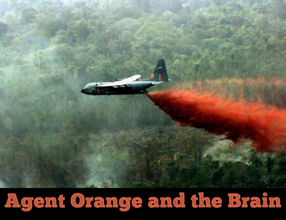 Brain changes from #AgentOrange exposure are similar to those seen in Alzheimer's #dementia, finds new study that tested the #VietnamWar toxin in rats: pubmed.ncbi.nlm.nih.gov/38306038 #psychiatry #neurology