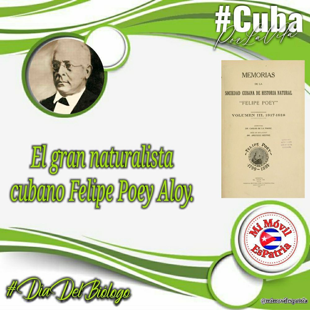 Felipe Poey Aloy fue un destacado naturalista cubano nacido en 1799. Es conocido por sus contribuciones a la ictiología y por ser pionero en el estudio de la fauna marina en #Cuba, la cuál es atribuido al #DíaDelBiólogo.

#CubaPorLaVida
#MiMóvilEsPatria
