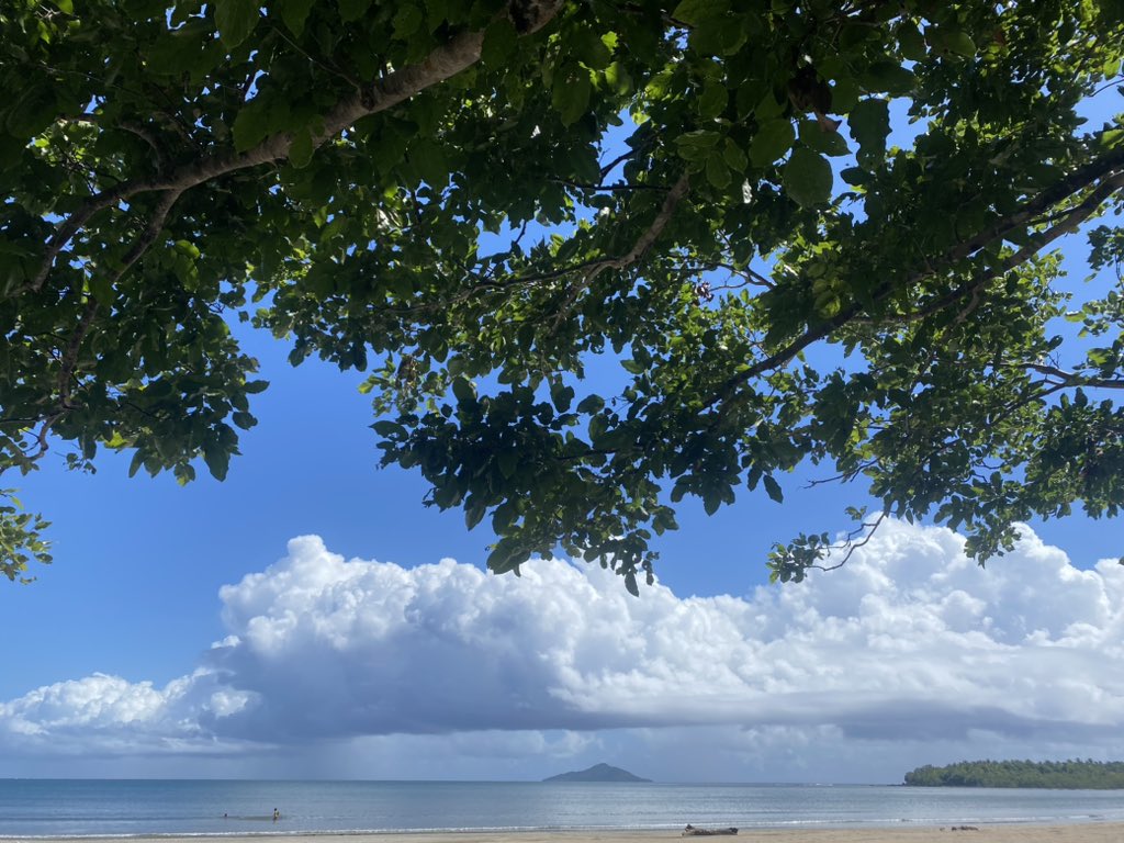 k4thle3n_jjay's tweet photo. fave view 🍃✨ https://t.co/Wzy83aMYHO