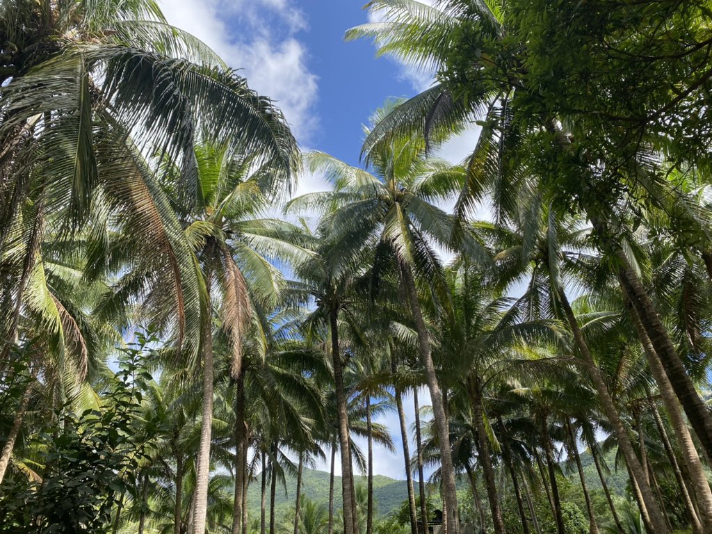 k4thle3n_jjay's tweet photo. fave view 🍃✨ https://t.co/Wzy83aMYHO