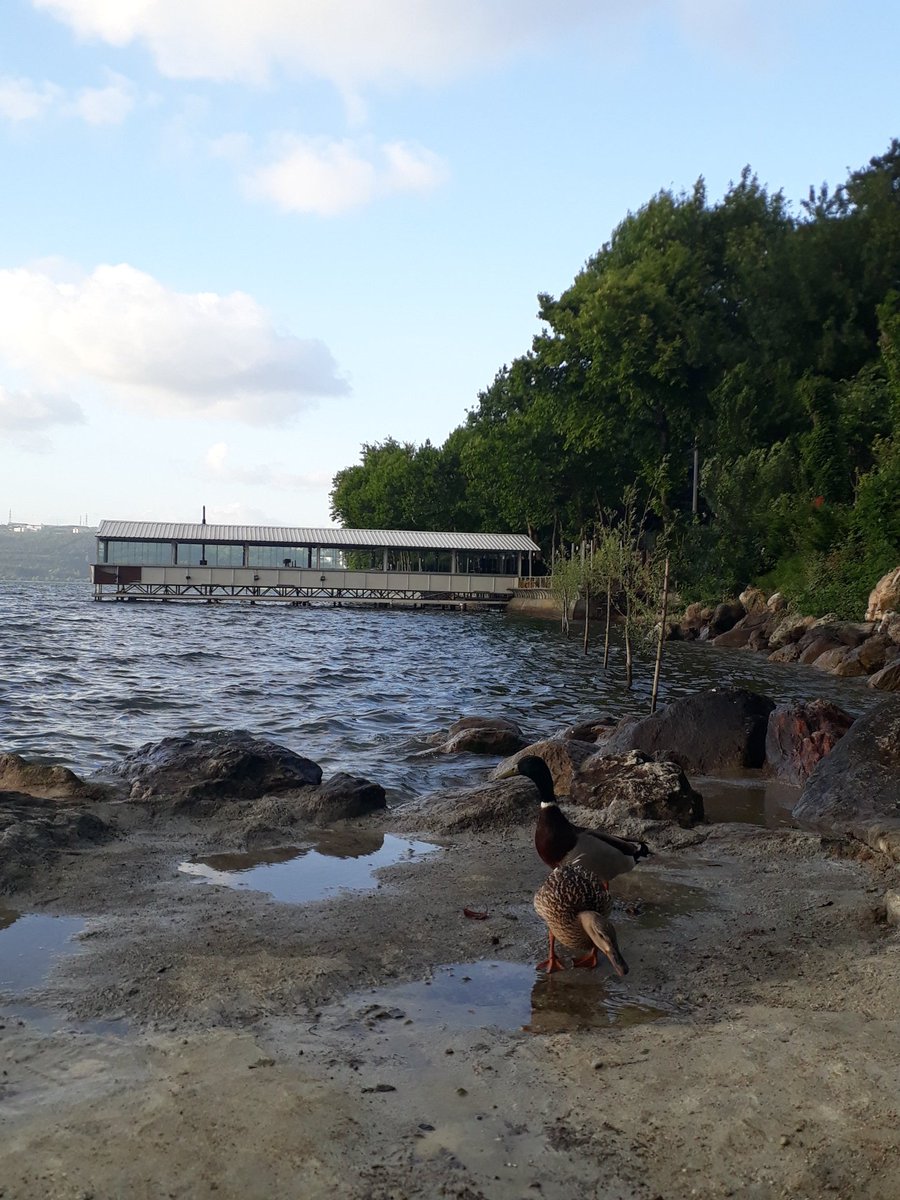 Ben ve hatalarımızdan ders çıkartmayan arkadaşım 💜 #Azra