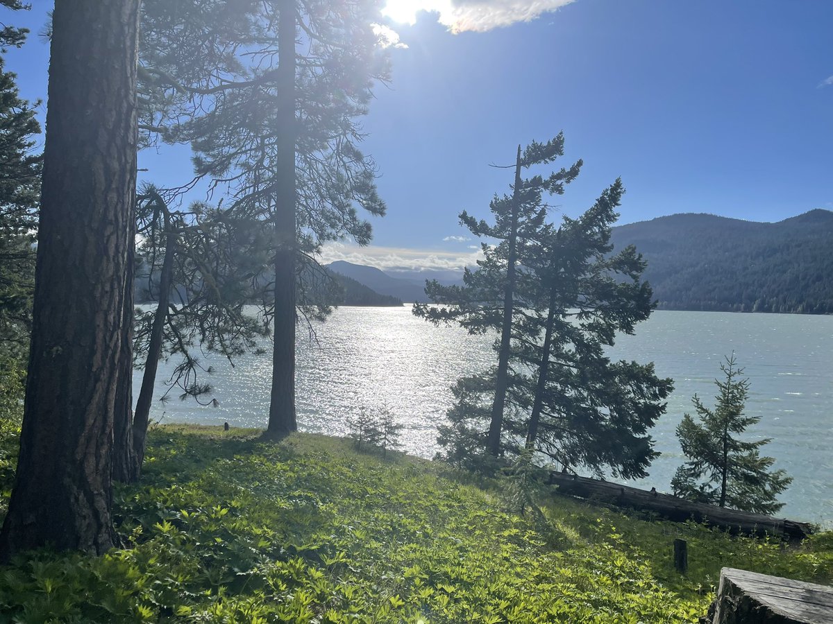 mchoyla's tweet photo. I was out in the wilderness for a few daysโฆ #PNW #WaSt #WashingtonState #RimRock #Camping #MentalHealth #SelfCare https://t.co/JedopuFyFm