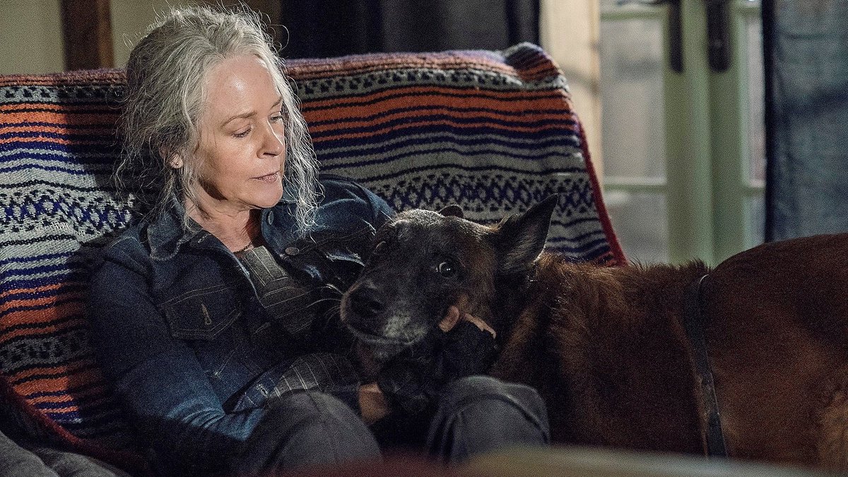 carylnormel's tweet photo. : ¨·.·¨ :
 ` ·. caryl and their emotional support https://t.co/WJ0nydGGuL