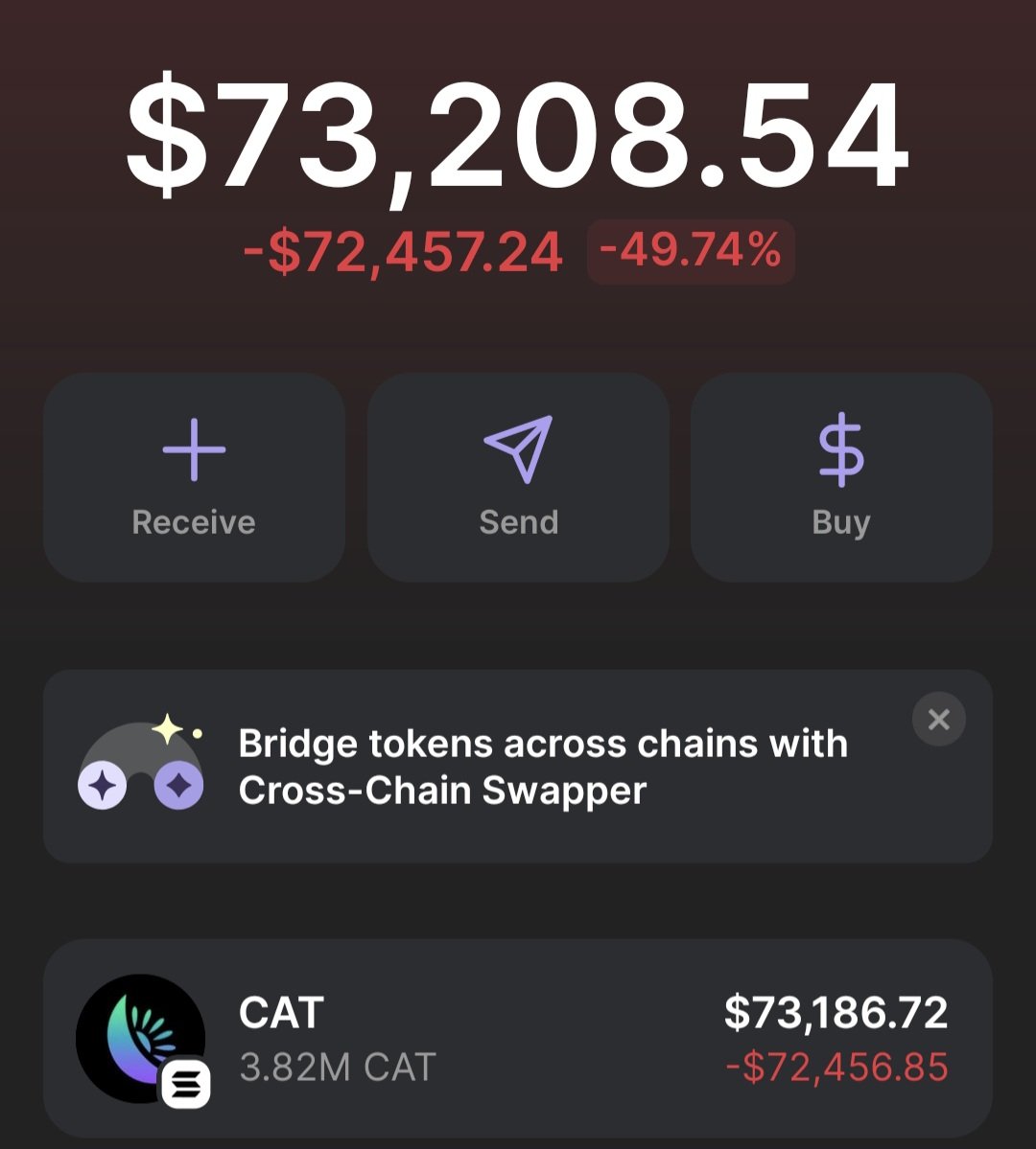 $CAT WILL PUSH BIG 🔥👀 EITHER I MAKE MILLIONS OR ZERO M BIDDING MORE ON $CAT !