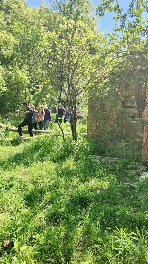 How is your @Doors_OpenTO experience going? For these neighbourhood tour goers, it's trekking through forests to find urban ruins! #DOT24