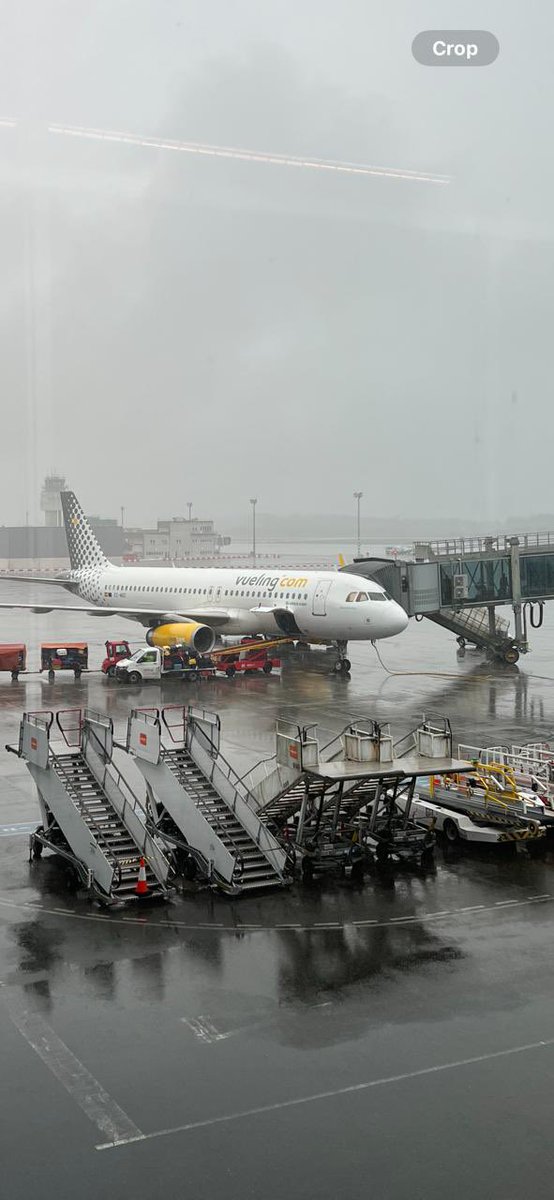 Traversing Liminality tweet media