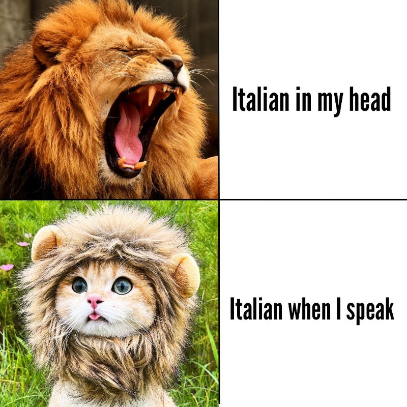 telmyfriends's tweet photo. Just when you thought you knew...you didn't! 🤣🤣🤣

#meme #funny #languages
