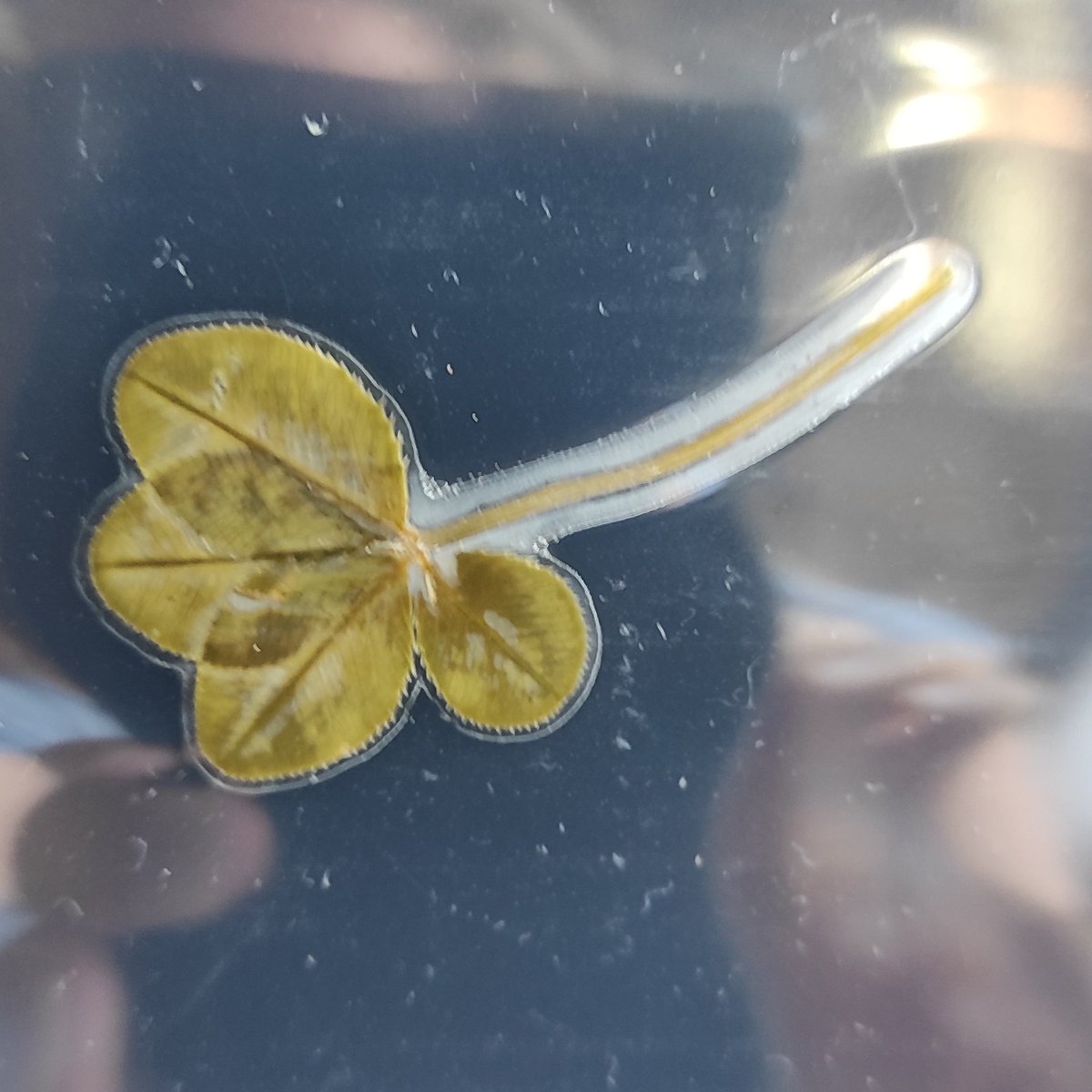 #NewProfilePic