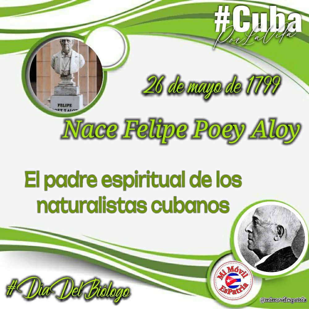 @mimovilespatria Ictiología cubana: la monumental obra de Felipe Poey y Aloy #DíaDelBiólogo #CubaPorLaVida #MiMóvilEsPatria