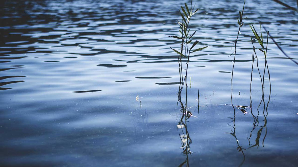 Officials in Haywood County have issued a recreational water advisory in some parts of the county due to a diesel fuel spill in the area. trib.al/8Oy9Qjq