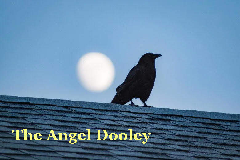 007butthead's tweet image. #FOCP