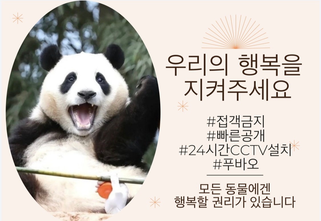 dsnslove2's tweet photo. 푸바오에게 행복을 돌려줘라!
행적을 상세히 공개하고 사과하라!
푸바오를 한국으로!
#savefubao #panda #funbao #protectfubao #푸바오 #FuBao #접객금지 #빠른공개 #24hrcctv #loveFubao https://t.co/xw47iQrhji