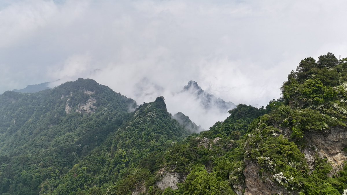 📍📍 Wudang mountains, Hubei, China 🇨🇳 #wudang #wudangmountains #Hubei #China #lovechina 
@hubeifocus