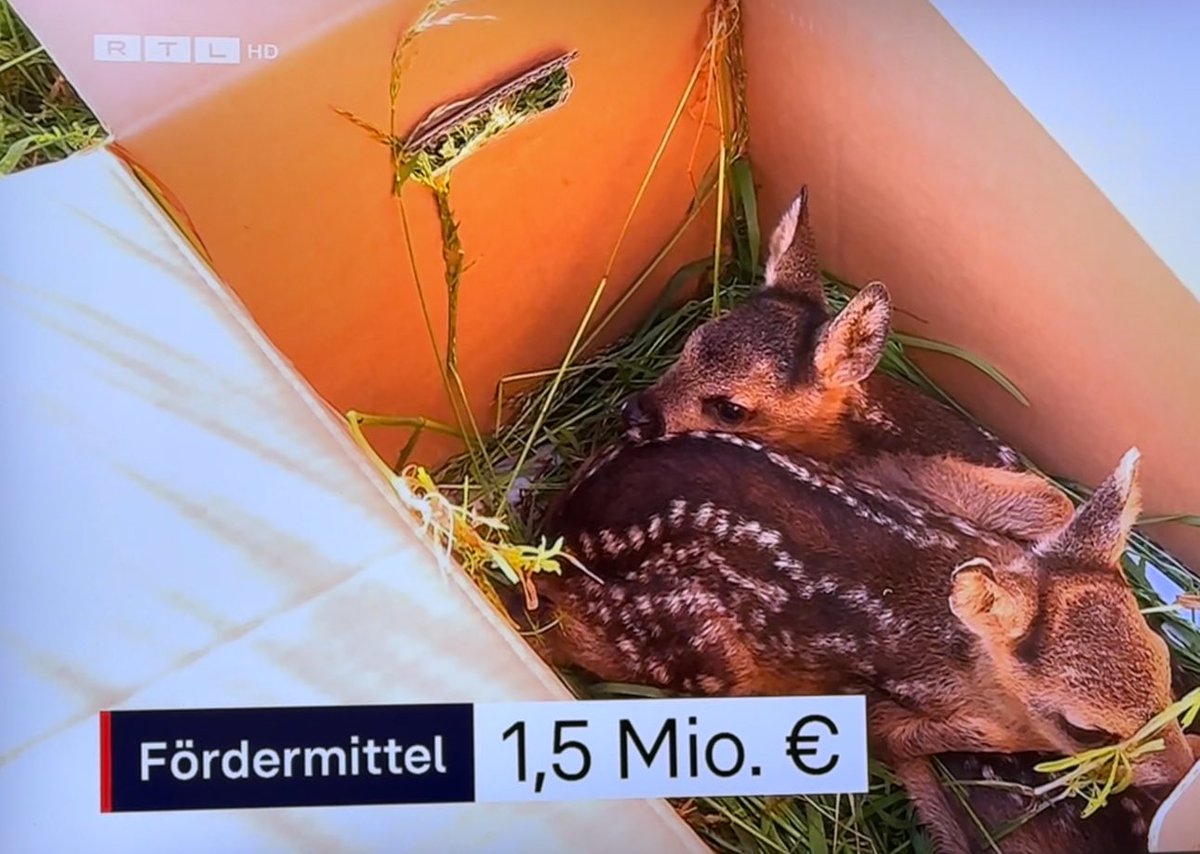 Germany supports the use of drones to help save little Bambis with 1.5 million Euros annually. Why? Because drones rescue thousands of Bambis from a brutal death when farmers cut their tall grass. #UAVsForGood