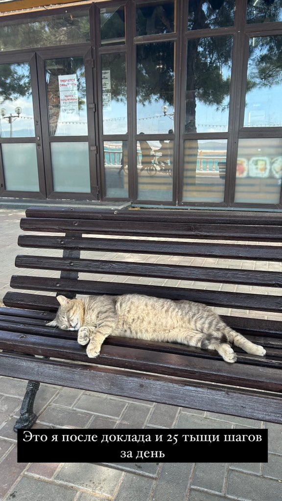 tkachesku's tweet photo. (Вчера) день конфы и 25 тысячи шагов https://t.co/Nc6sKCoFCP