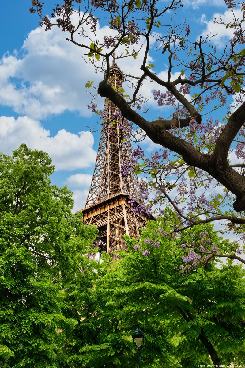 Paris La Tour Eiffel #paris #paris2024 #jop2024 #jmlpyt #francemagique #TourEiffel #eiffeltower