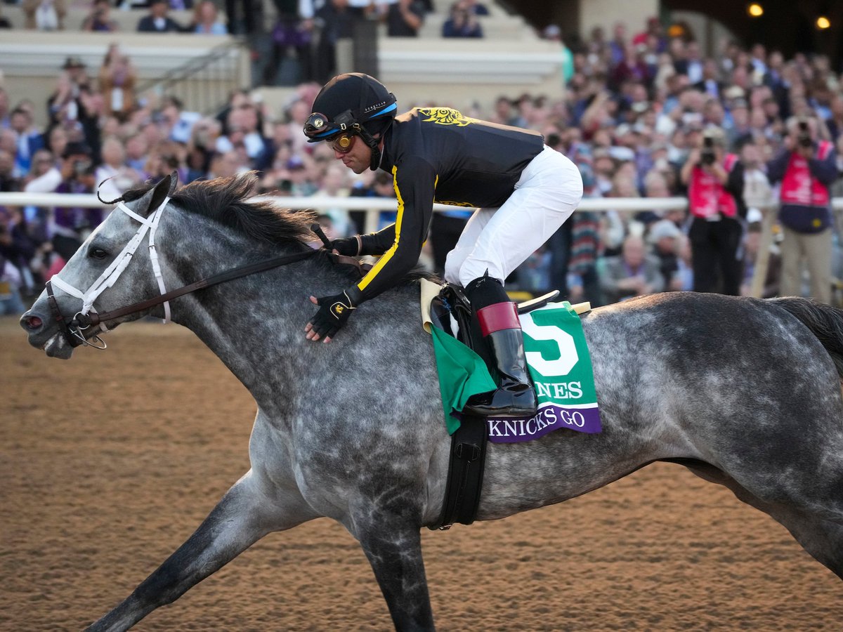 Who is your favorite grey #BreedersCup Champion? 📸 @EclipseSports