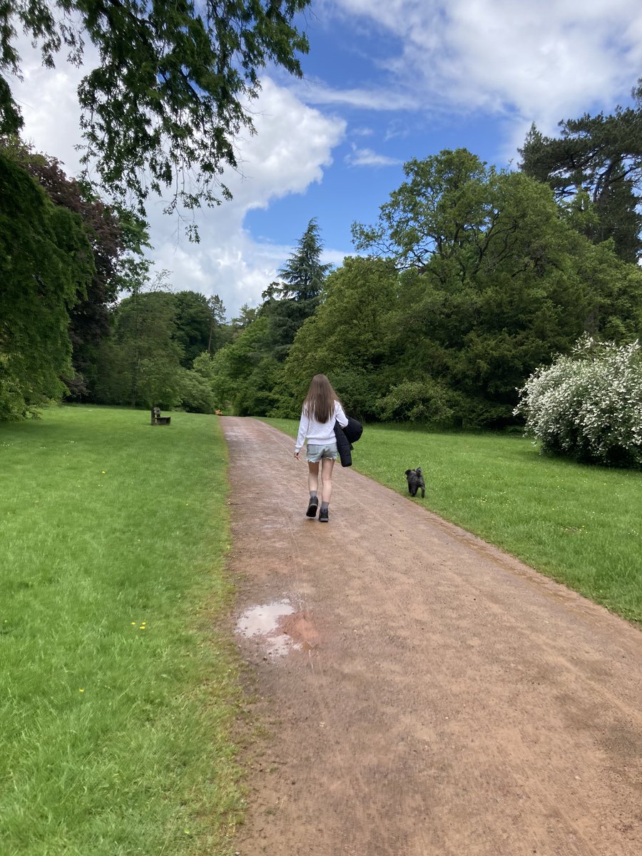 Louise Elliott tweet media