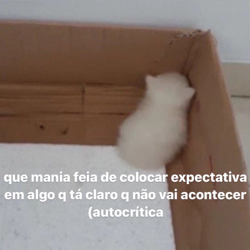 autocrítica