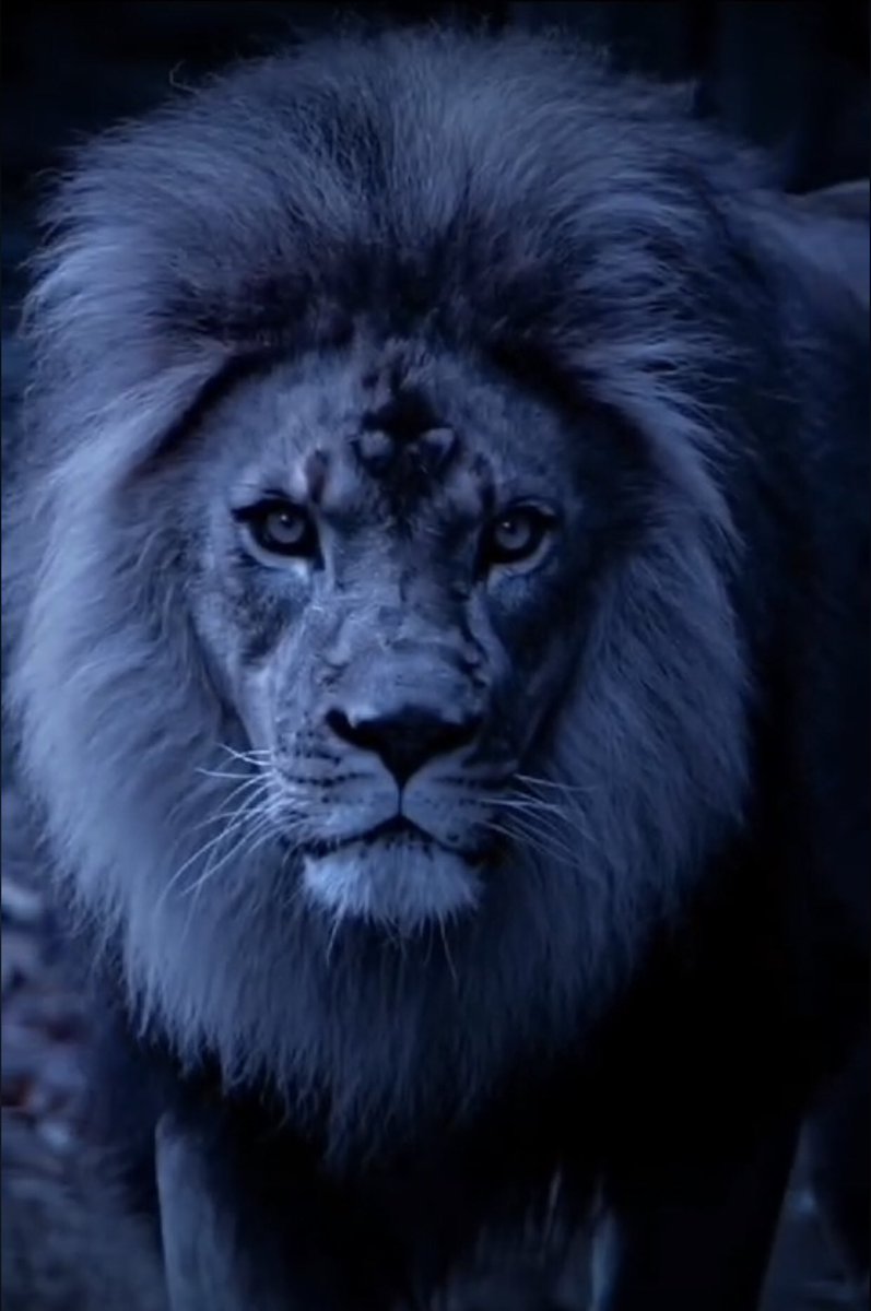 ♥️♥️♥️♥️