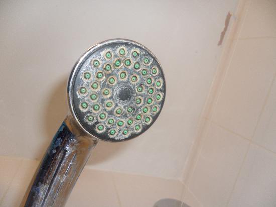 Ellie 🕷️ tweet media