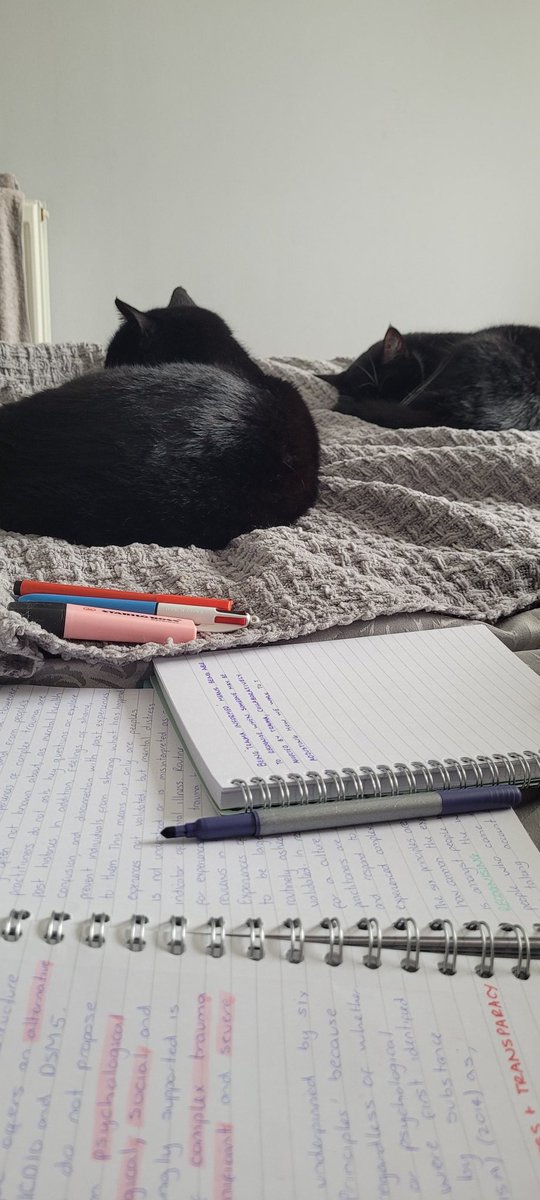 RebeccaMHStN's tweet photo. Very relaxed study session tonight https://t.co/pcdSC0h2qZ