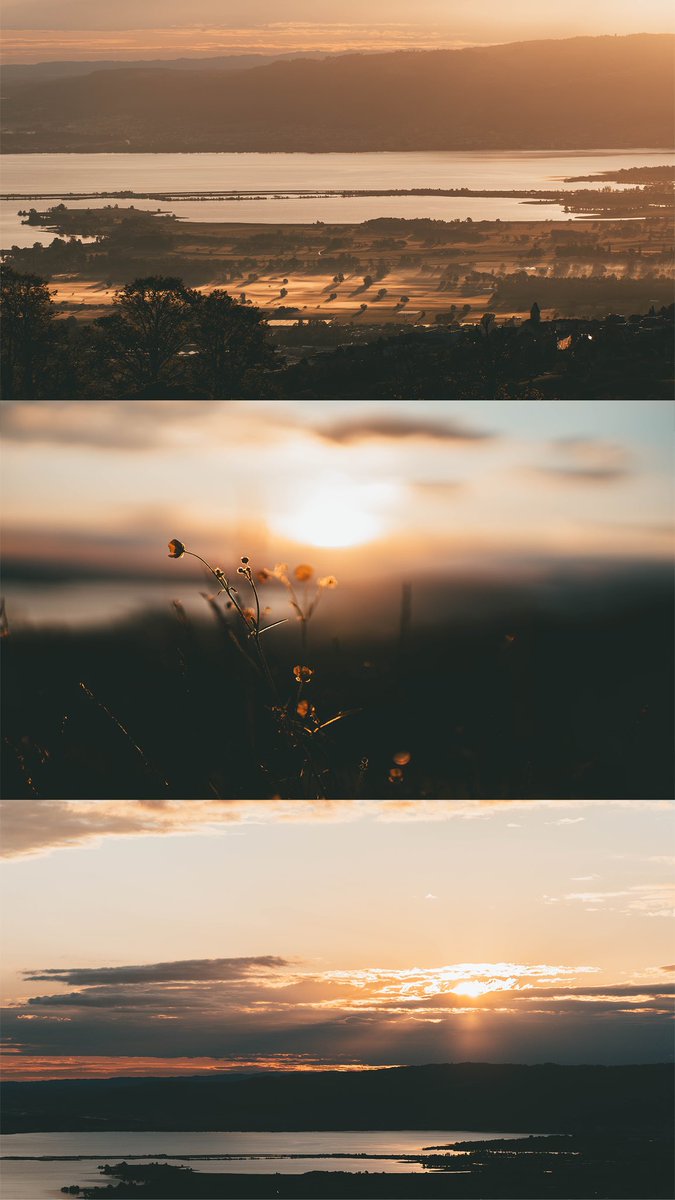 La suisse 🇨🇭🐮 J’ai testé pour la première fois le Sigma 50mm f/1.4 et le Sigma 100-400mm f/5-6.3 lors de mon précédent voyage, le piqué est incroyable  📷