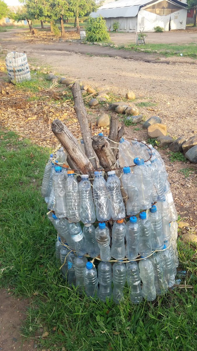 Kaseseyout7741's tweet photo. Muhokya primary school is using plastic bottles to protect trees. What are you doing to end climate change? https://t.co/gjmT2uw3hD