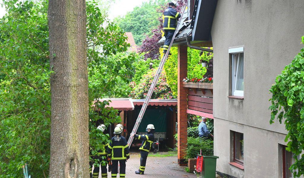 Mann will in Hamburg Wespennest ausräuchern – plötzlich brennt das Dach bit.ly/3yy3l3k