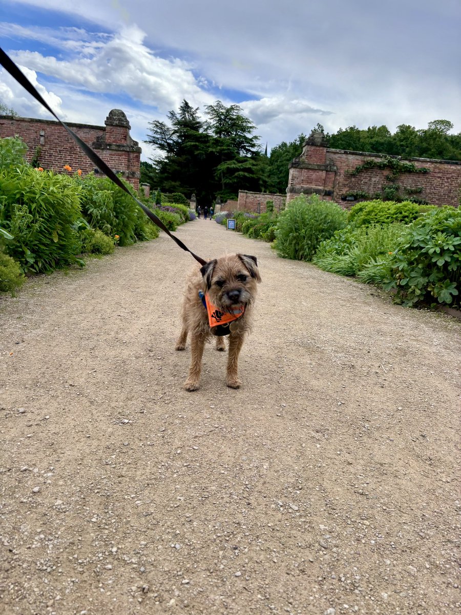 Well pals what an epic #clumbertweetup loads of pals , lovely weather and a surprise visit from a very special #btposse member ! More to be revealed soon! Thanks for coming we had a great time & I’ve polished off two @BaxterBooBT bags of liver cake !!
