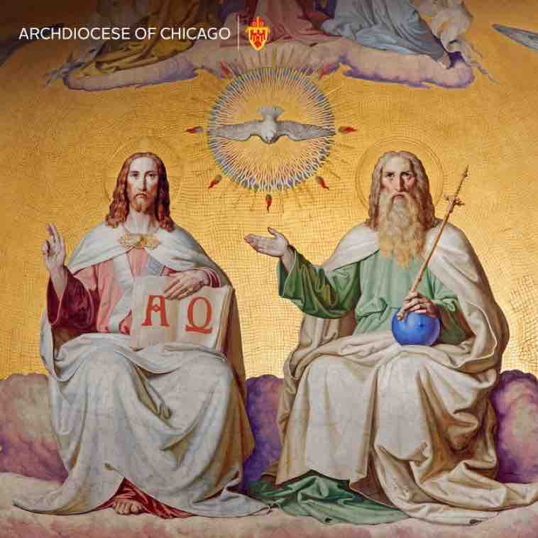 CardinalBCupich's tweet image. Today we commemorate the Solemnity of the #MostHolyTrinity. Glory be to the Father, to the Son, and to the Holy Spirit.